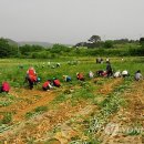 삼도농장 이미지