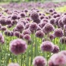 코끼리유통 이미지