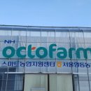 주식회사 더위드 이미지