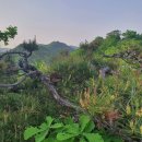 2021-주165 이미지