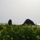 지인펜션 이미지