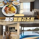 벨룸(Velum)리조트 | 제주도 호텔 추천 서귀포 리조트 호캉스 벨룸리조트 조식 수영장 카사밀라
