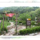 허브향기펜션 이미지