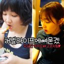 라이프 | 허벌라이프 후기 두달반 14kg 감량