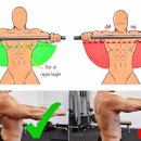 워너짐 하단점 이미지