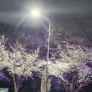 평거강변2 이미지