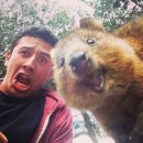 한방족발 이미지