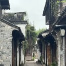 우전의 아침과 상하이의 밤 - 하이디라오, 홀리랜드 수건케이크 [상해6]