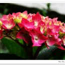 풍경어린이집 이미지