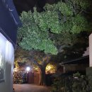 퐁낭하우스 민박 이미지