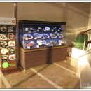 변산리조트 이미지