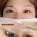 다린뷰티
