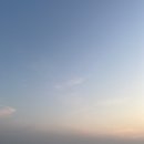 떡도날드 네이버블로그