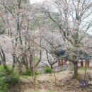 덕천서원화장실 이미지