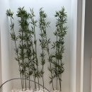 비해피 휘트니스 이미지