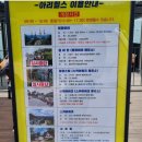 아리힐스(짚와이어) | 정선 아리힐스 병방 스카이워크&amp;짚와이어 체험 후기