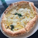 나폴리피자 | 대관령 실버벨 교회 맛집 나폴리피자 후기 | 아쉬운 내돈내산