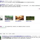 포털사이트[네이트] 에서 한국산림아카데미 사이트 등록완료 이미지
