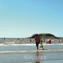 열정 이미지