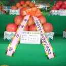 김태희농장 이미지