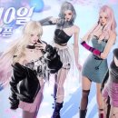 스타일 퍼피 이미지