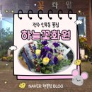 꽃가지화원 | [인후동 꽃집] 하늘꽃화원 방문 후기 추천 전주 꽃배달Ⅰ전주 꽃다발 &amp; 전주 꽃배달 체험 리뷰!