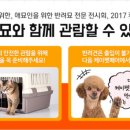 뱅갈온니 이미지