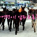 당나귀타는원시마을 이미지