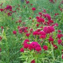 아리아 공인중개사사무소 이미지