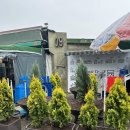 덕진체련공원 약수터 | [전주 실외 조경] 전주 조경 식재 후기, 전주동물원🌳 덕진체련공원 동물원포차 인근 나무심기 완료!