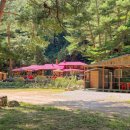 달둔소낭펜션 이미지