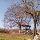 작은나무도서관 이미지