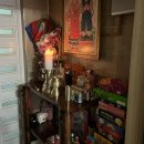 신기방기 | 전주 효자동 용한 점집 [천상아씨당] 🧧🍀 + 신기방기 후기