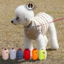 컴패니언 이미지