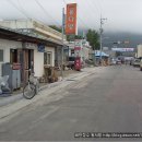 정선, 단양여행-아 ! 한국의 산천이여 ! 정선 동강 할미꽃, 단양 영춘면 시장풍경 이미지