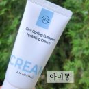 아미몽 | 바르는콜라겐, 콜라겐크림 :: 아미몽 시카 쿨링 콜라겐 수분크림