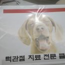 동명약국 이미지