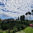 서귀포트윈하우스 이미지