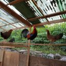 작은농원 이미지