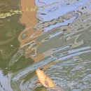 아름낚시터 이미지