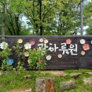 국악의성지안내소 네이버블로그