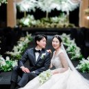 제주퍼시픽호텔 네이버블로그