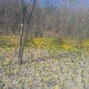 화순허브뜨락 이미지