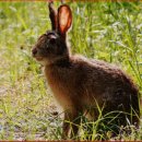 [9903회] 아침마당 ---도전! 꿈의무대 이미지