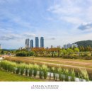 태화강국가정원 이미지