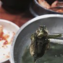 24시아우네해장국 | 성남 매생이 칼국수 : 수진칼국수