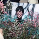 하사1 헤럴드경제