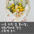 소확행 | 나를 위한 봄 꽃다발, 생화택배로 받는 소확행 후기