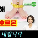 살 빼기 위해 알아야 하는 단 하나의 호르몬 인슐린 다이어트 이미지