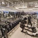 플라이 짐 이미지